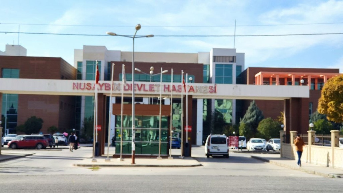 13117-2.jpg