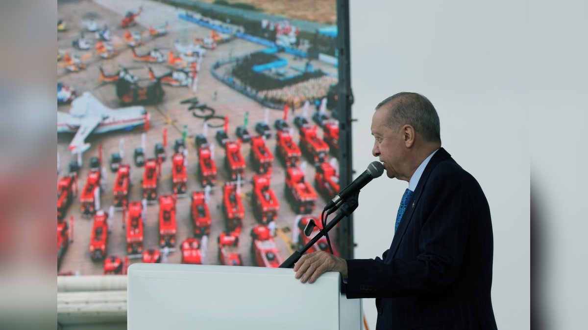 13641-2.jpg