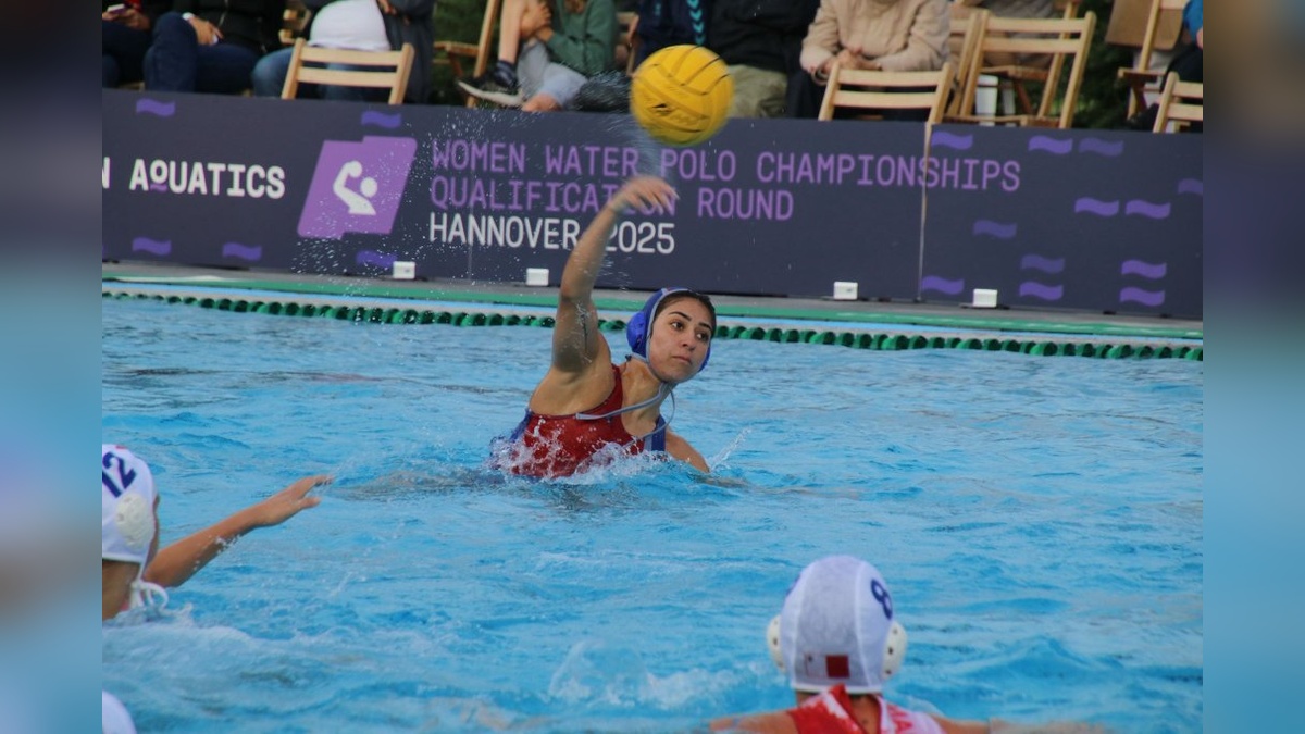15754-2.jpg