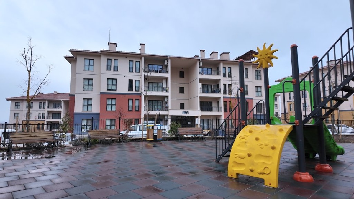 16289-2.jpg