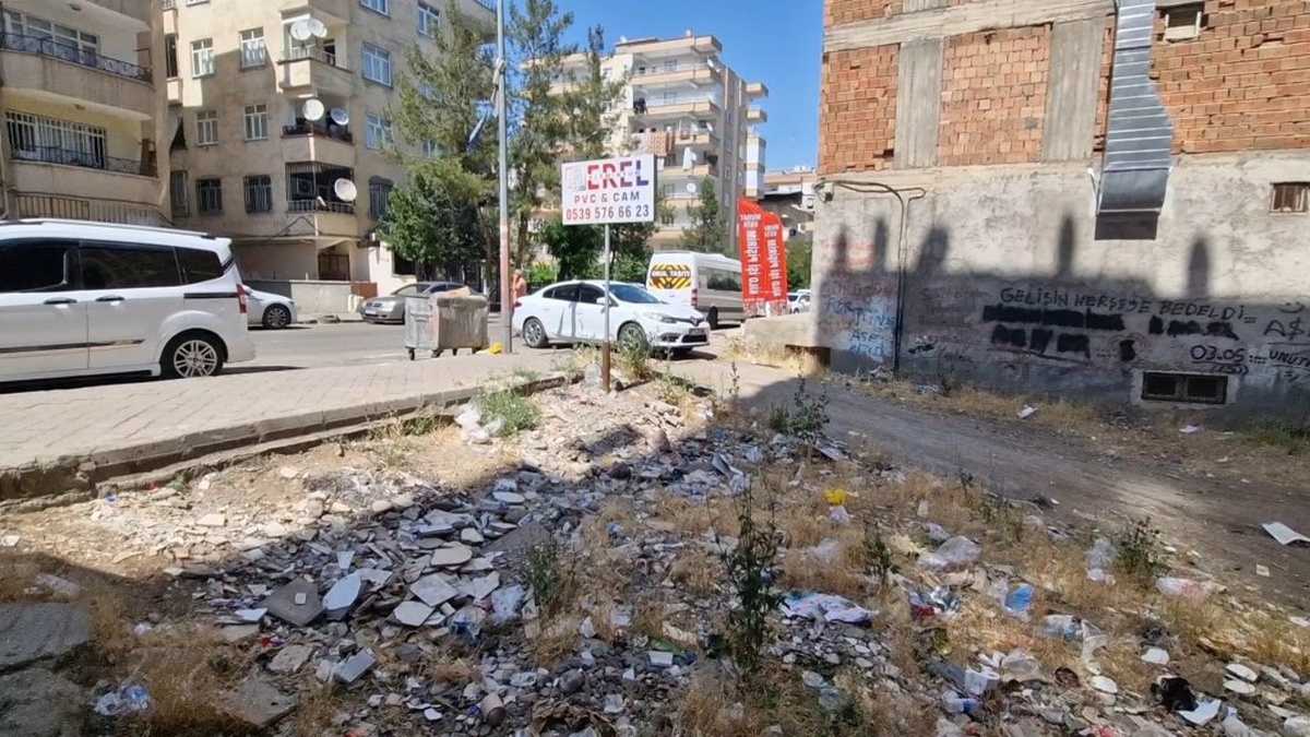 16396-2.jpg