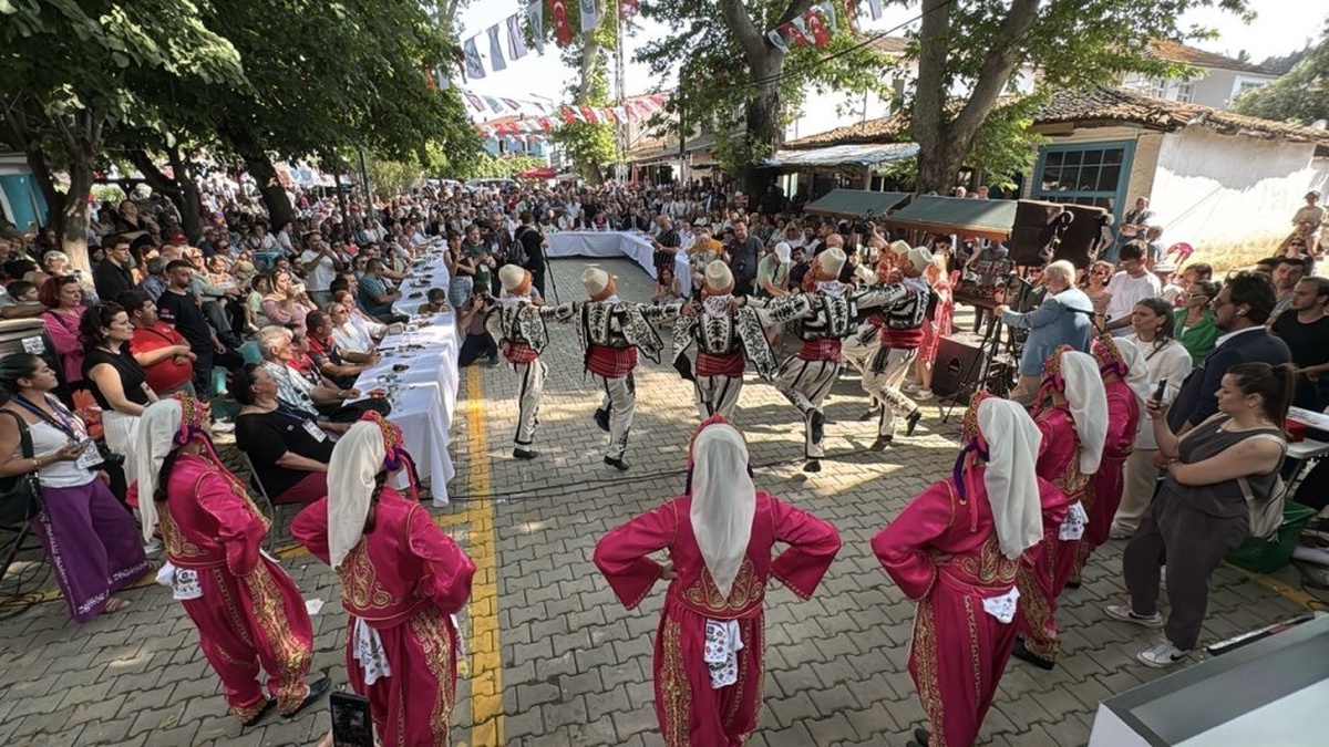 17558-2.jpg