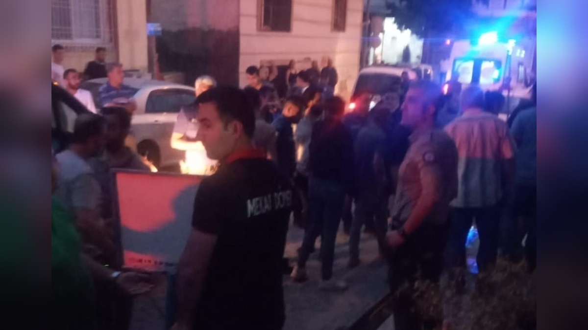 226091-2.jpg