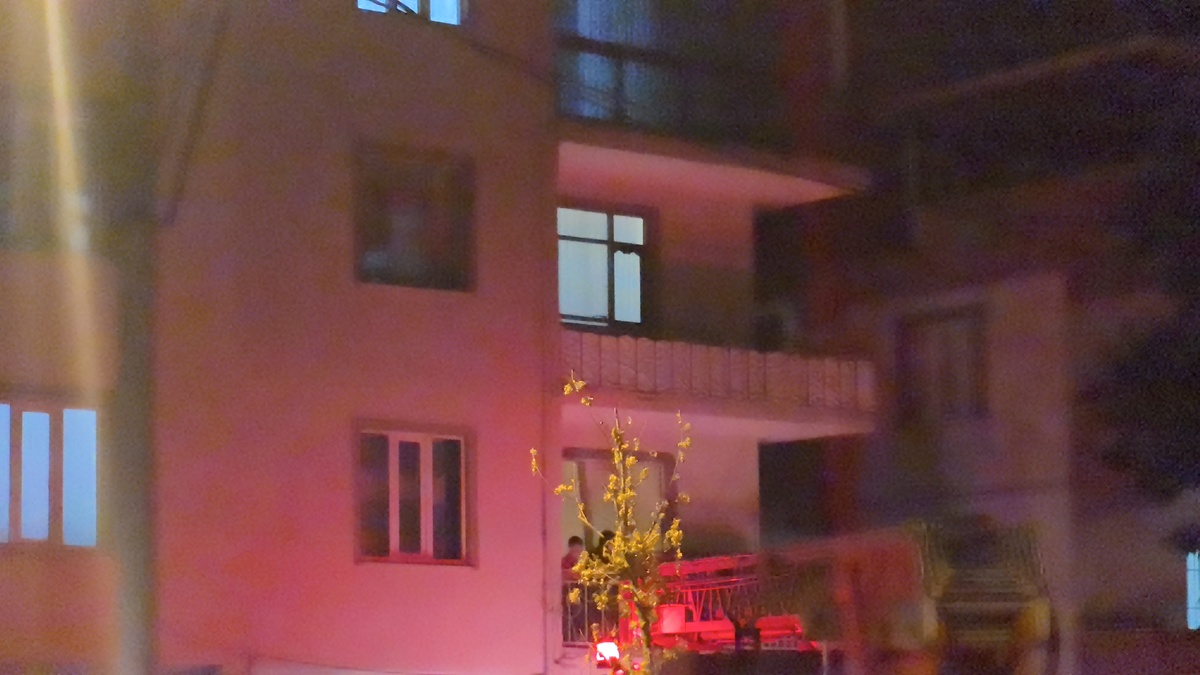 226099-2.jpg