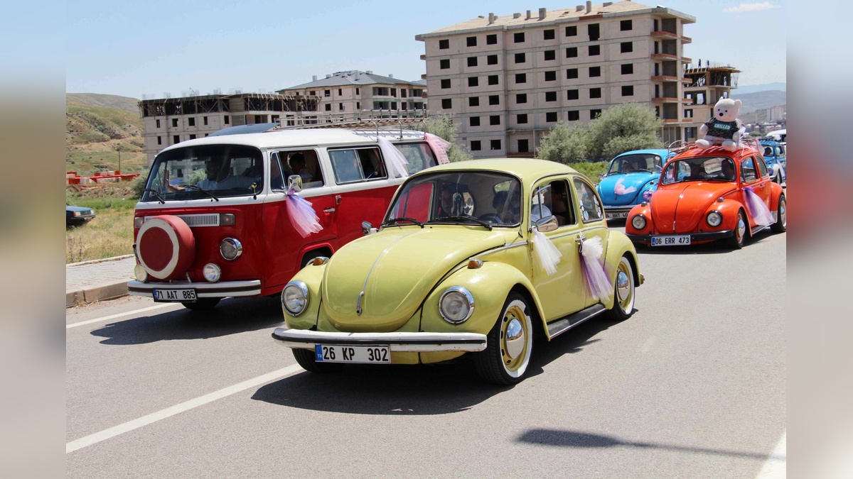 228266-2.jpg