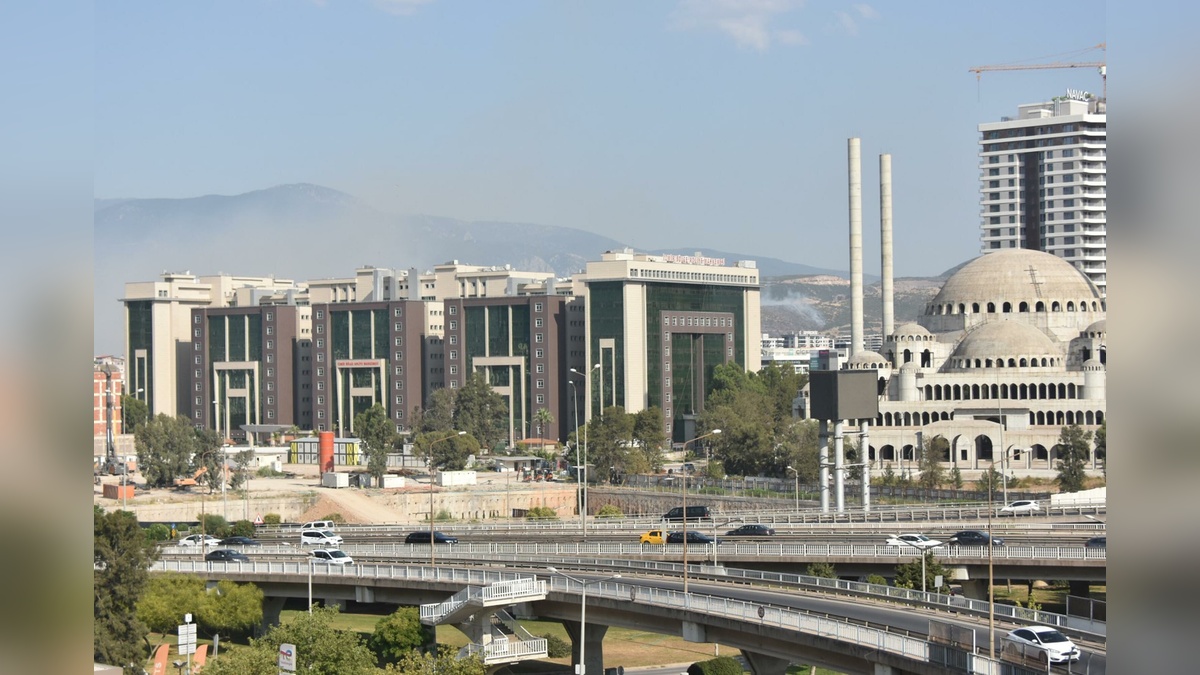 228759-2.jpg