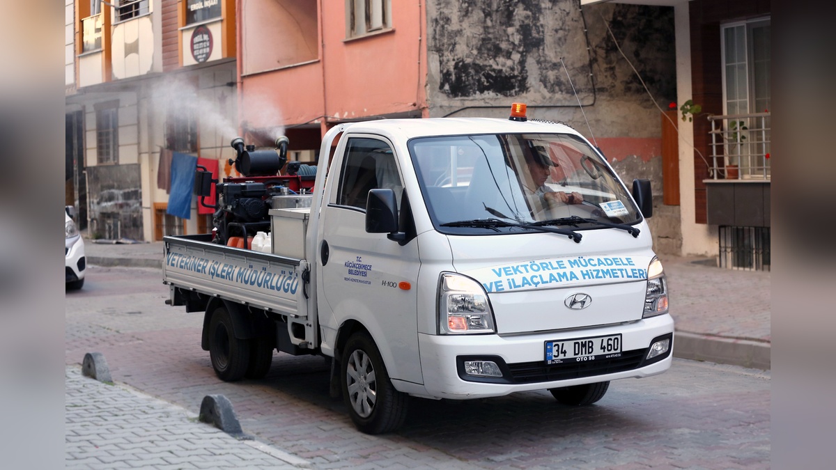 228914-2.jpg