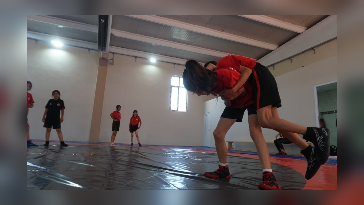 229649-2.jpg