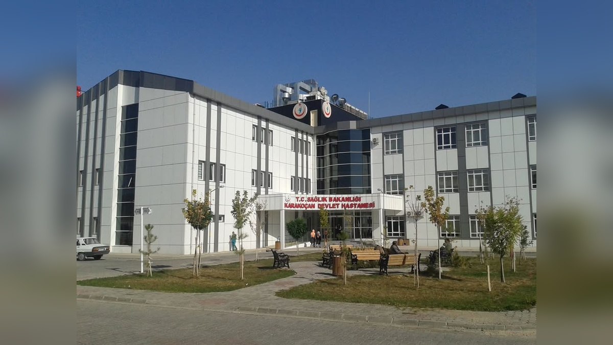 229682-2.jpg