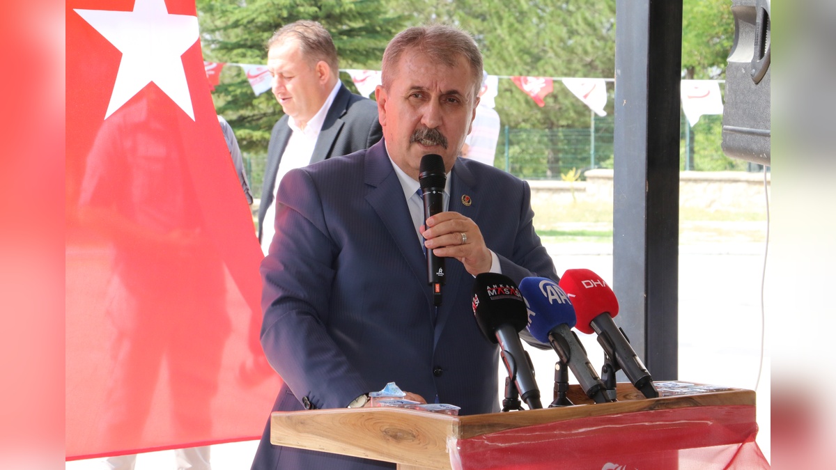 229778-2.jpg