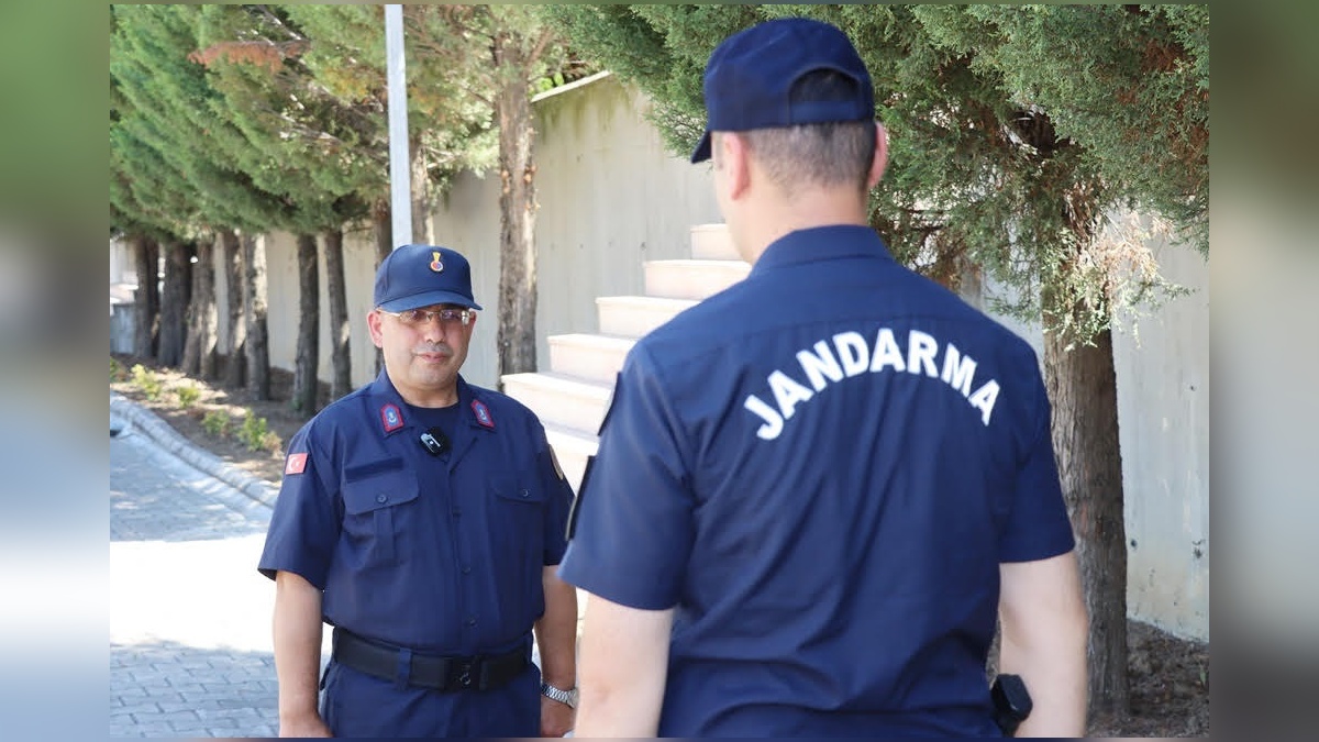 233473-2.jpg