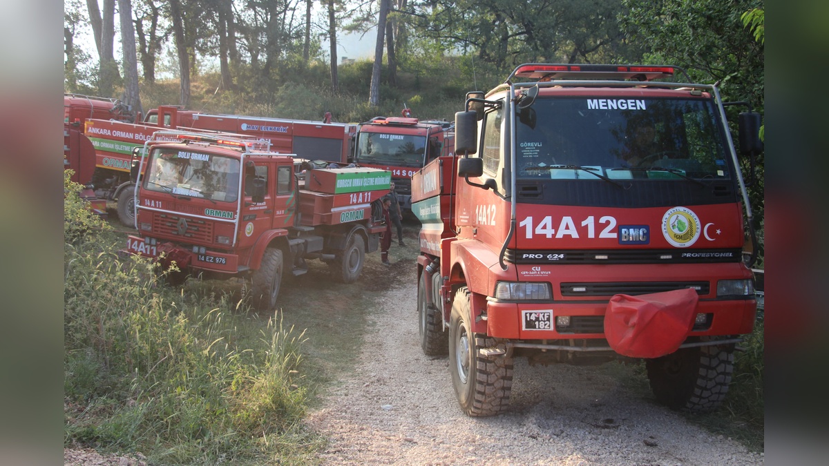 233549-2.jpg