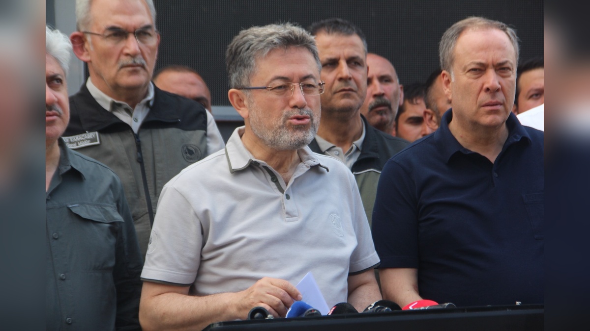 233697-2.jpg