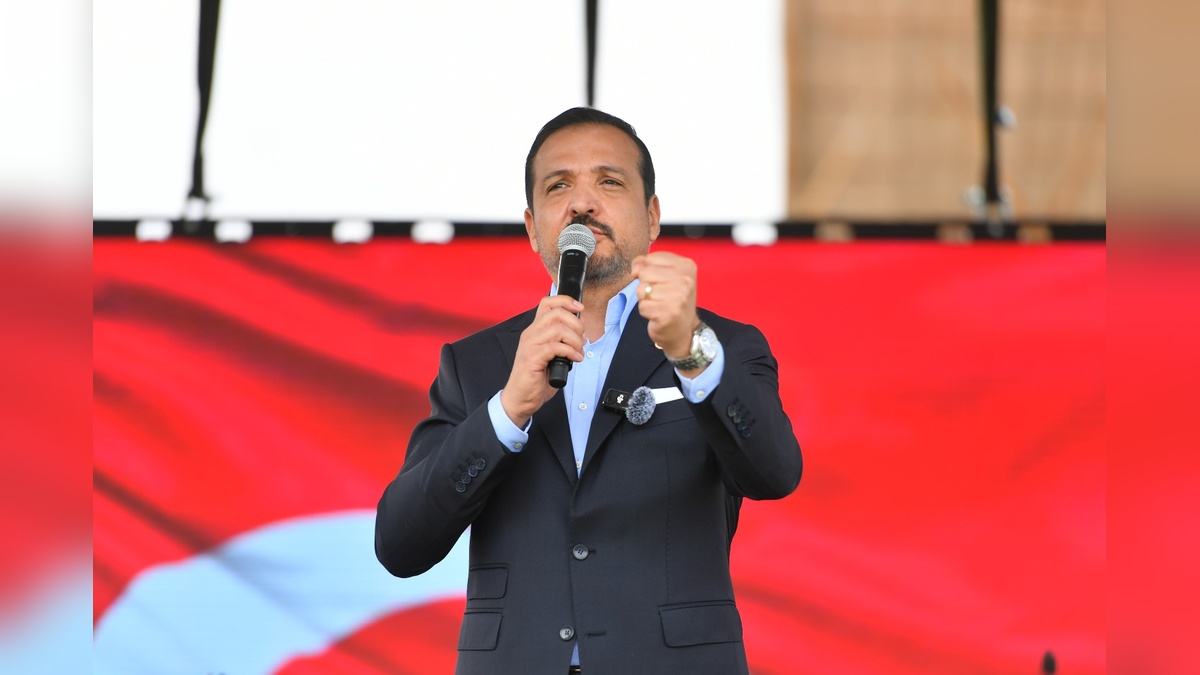 233784-2.jpg