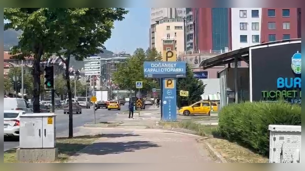 234712-2.jpg