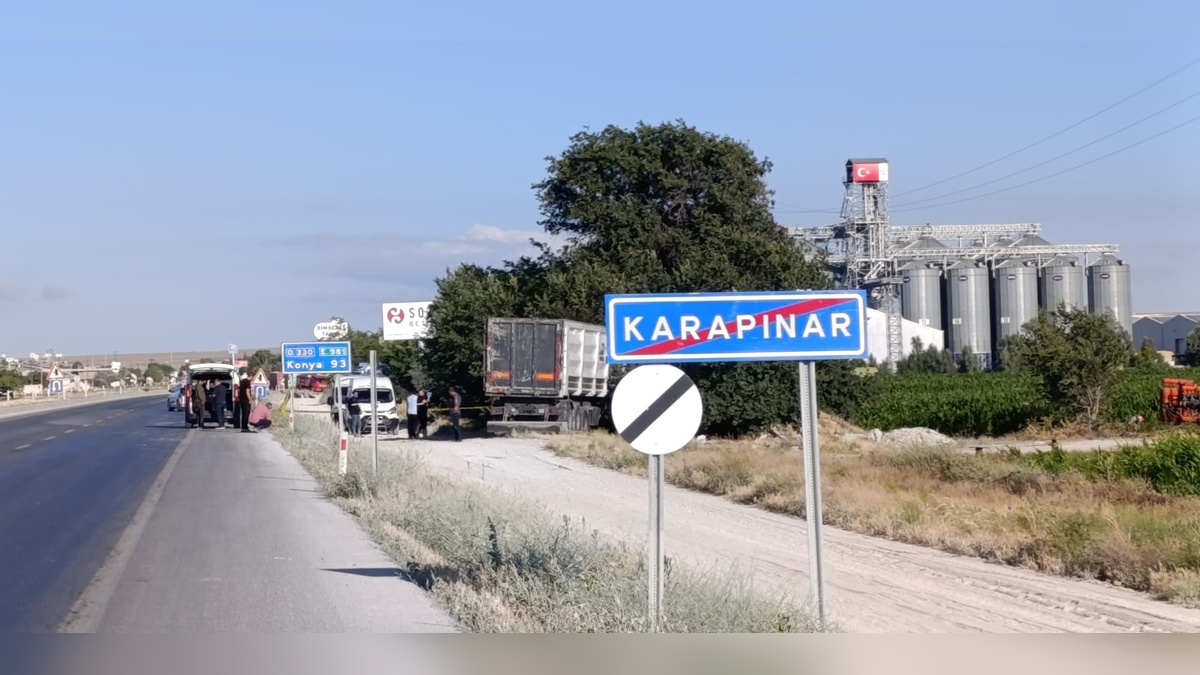 236304-2.jpg