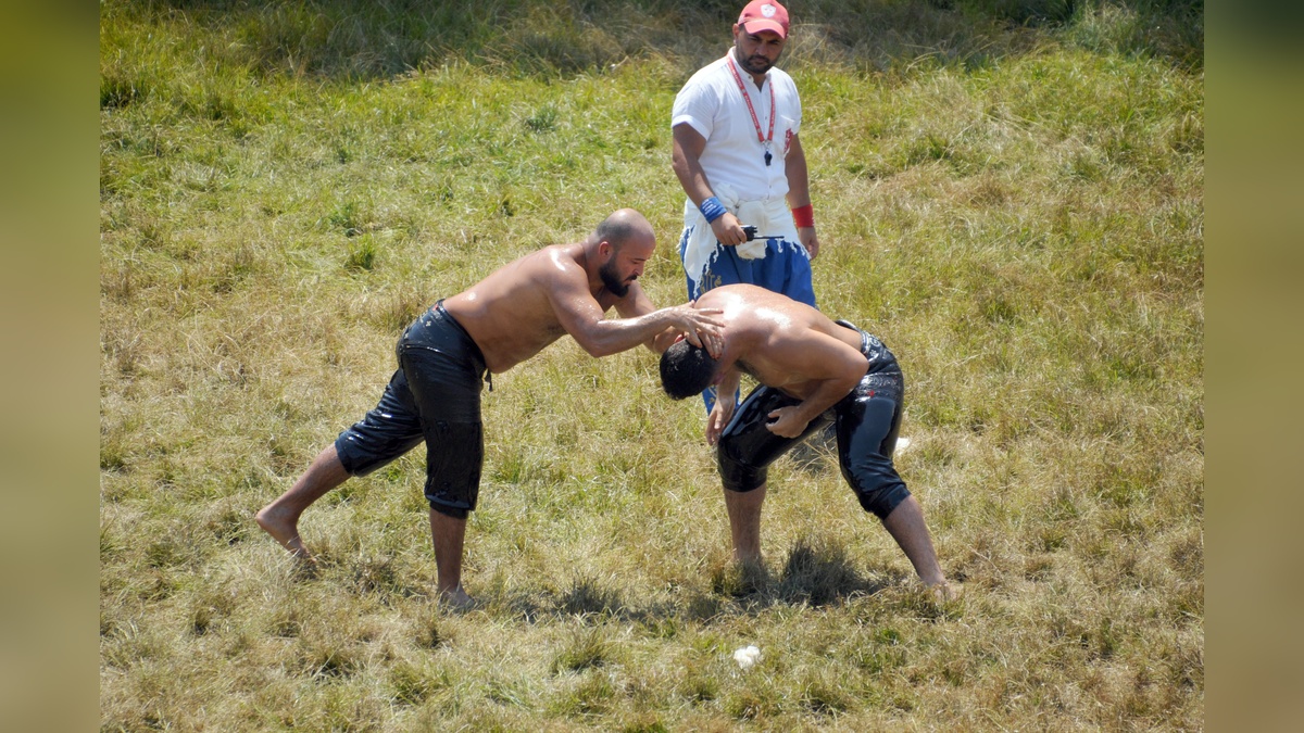 237397-2.jpg