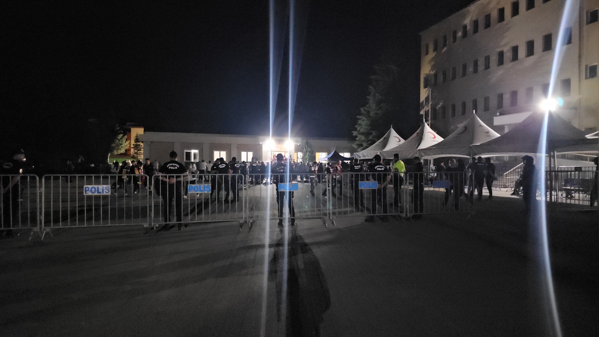 238113-2.jpg
