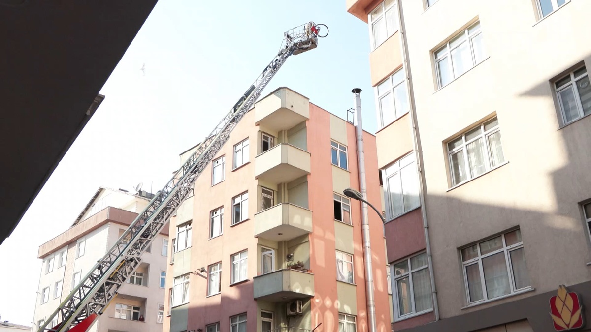 241486-2.jpg