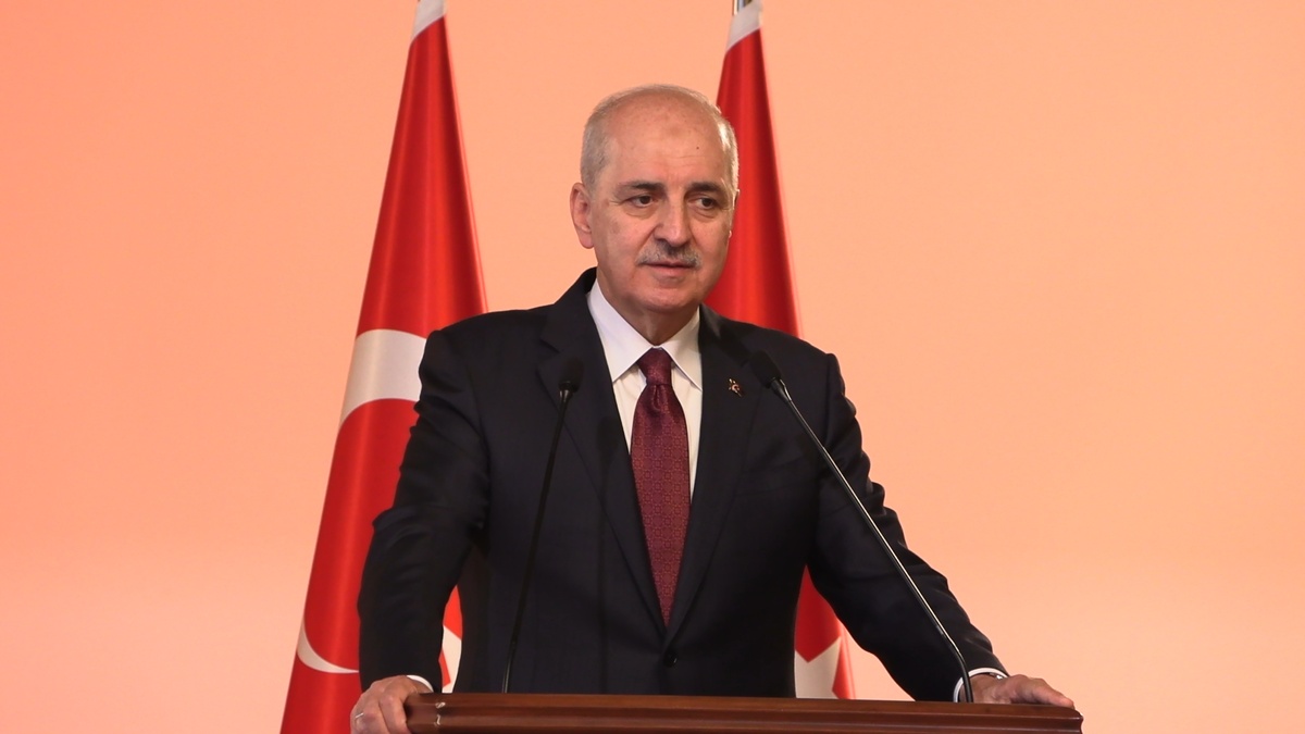 242911-2.jpg