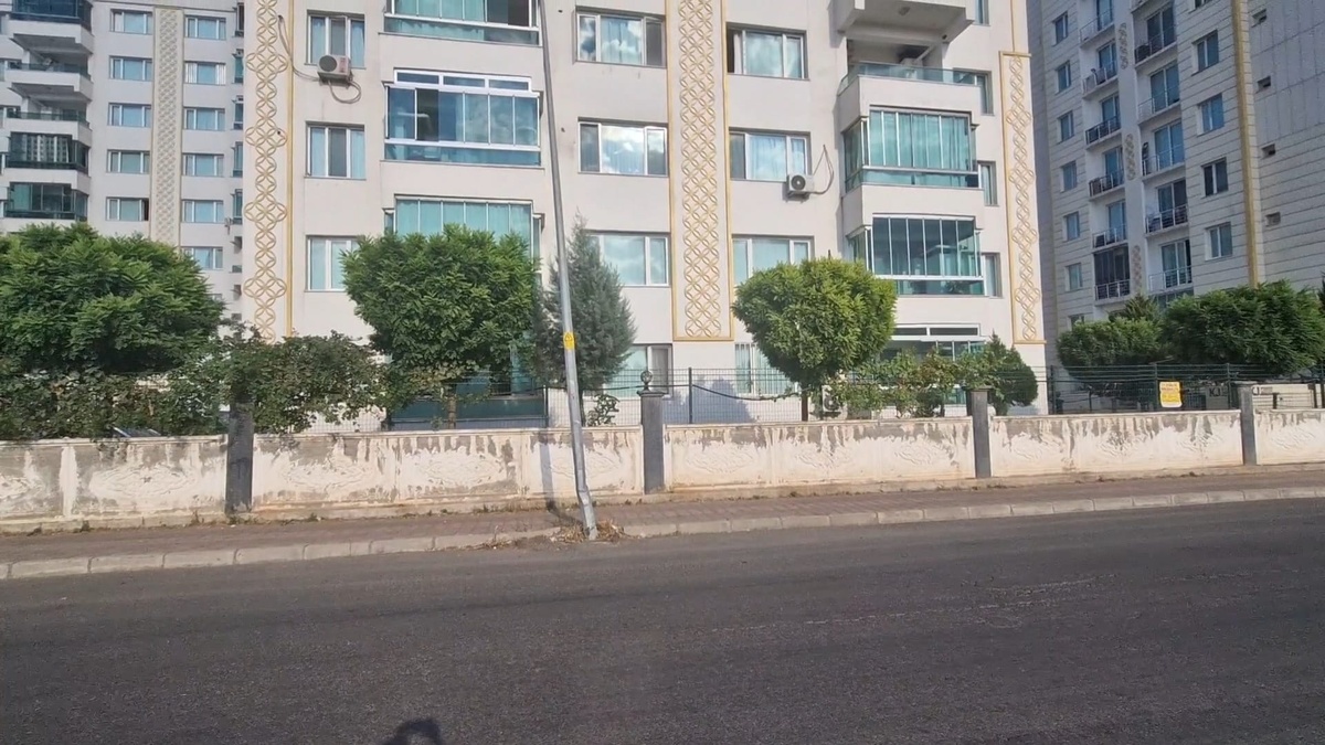 243071-2.jpg