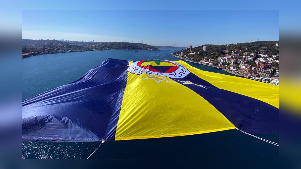37526-2.jpg