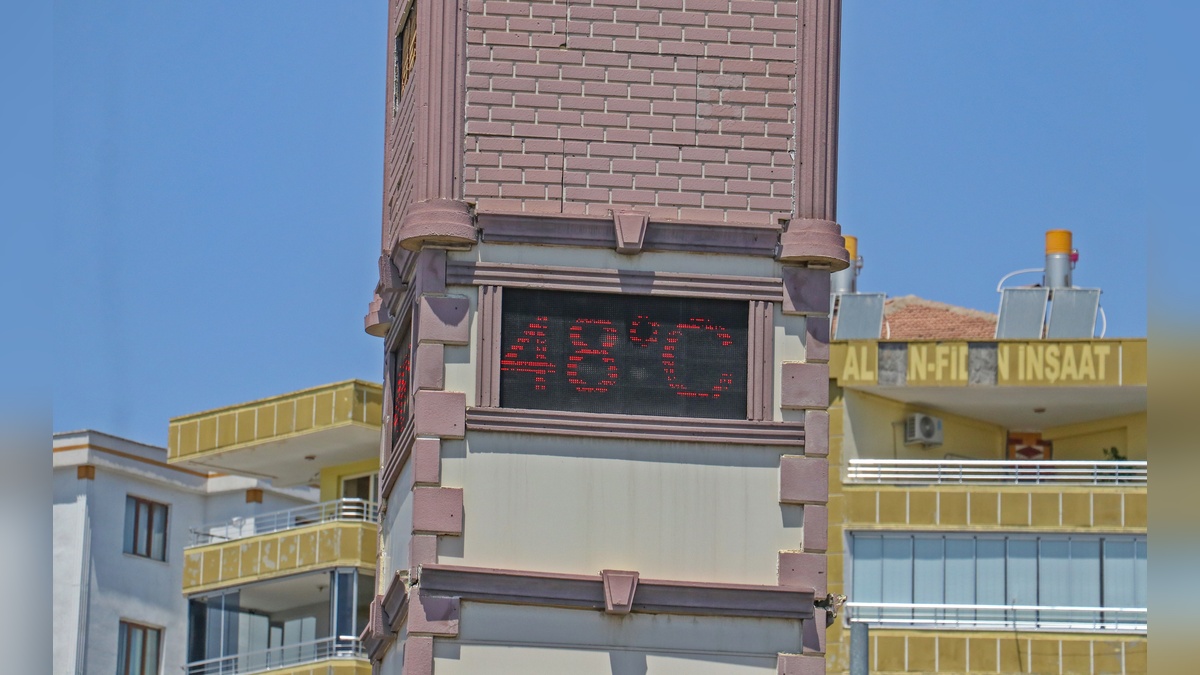 243895-2.jpg