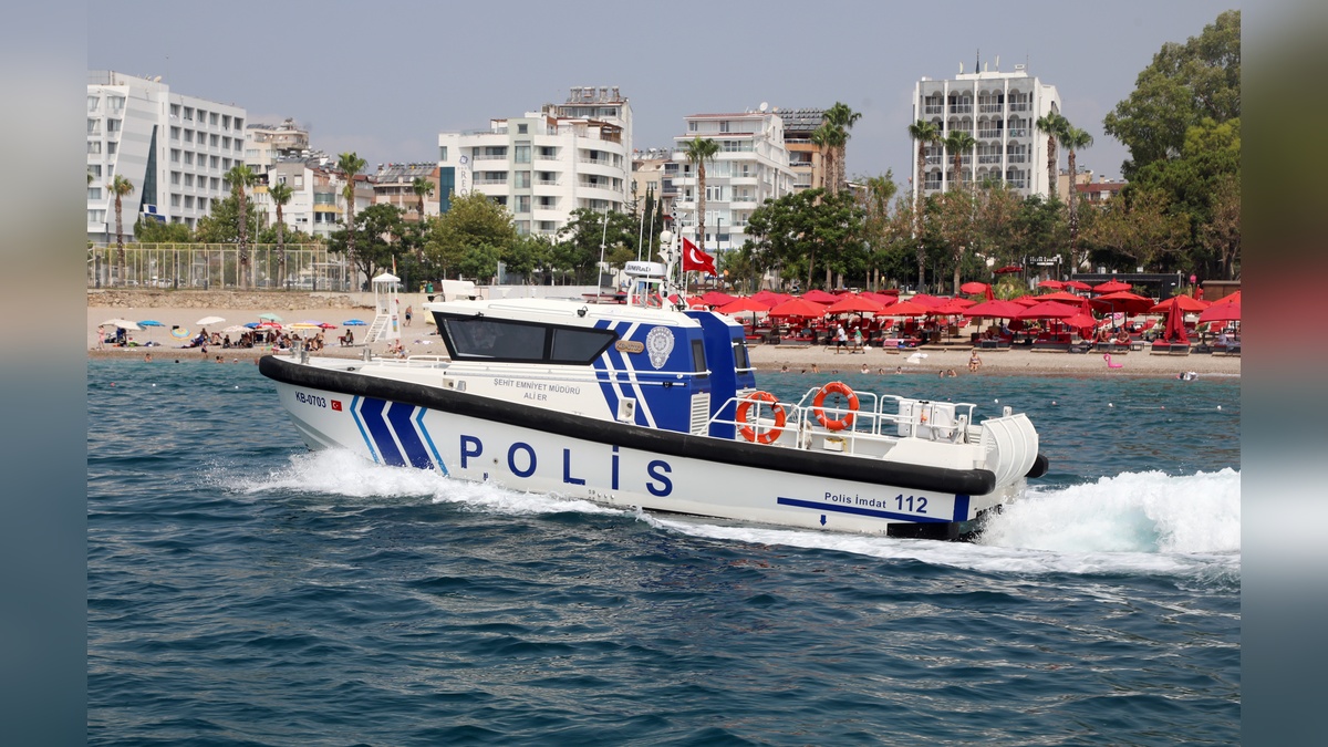 244167-2.jpg
