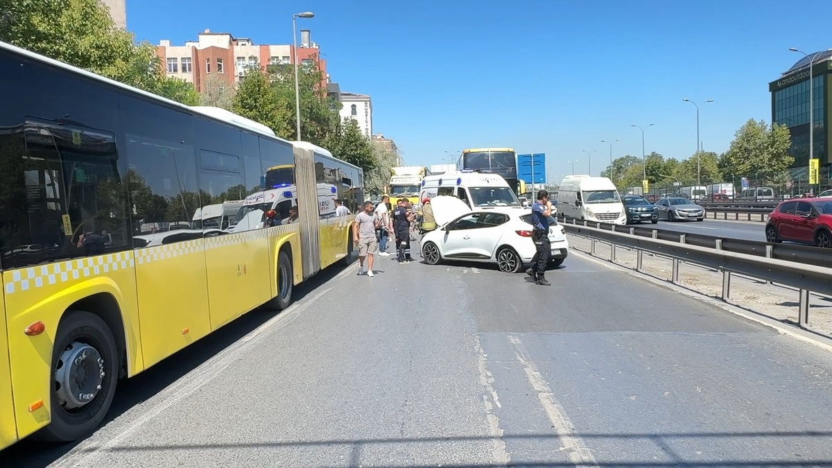 244682-2.jpg