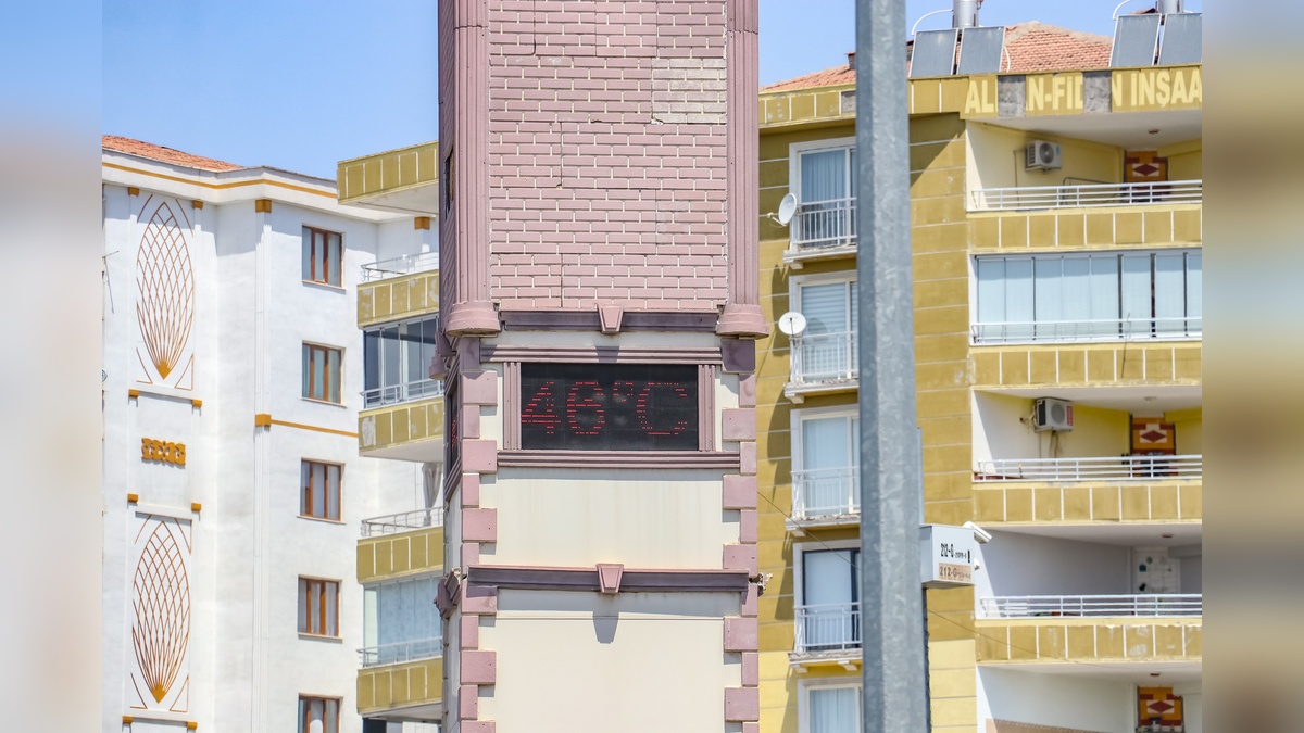 244773-2.jpg