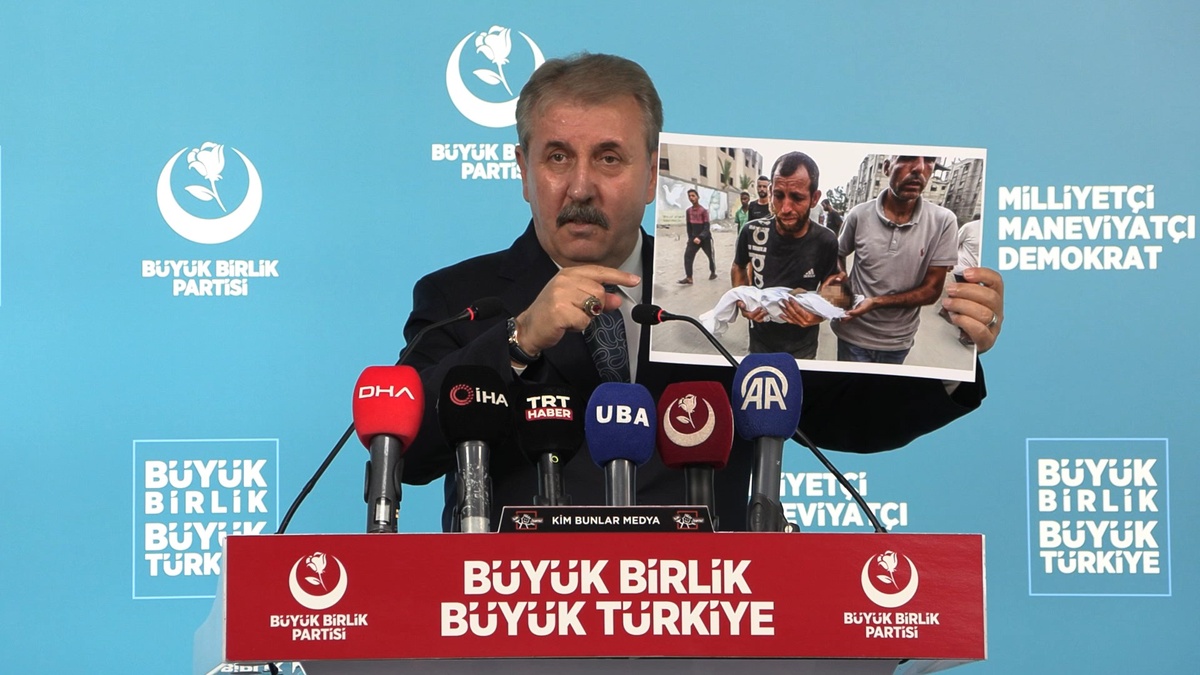245873-2.jpg