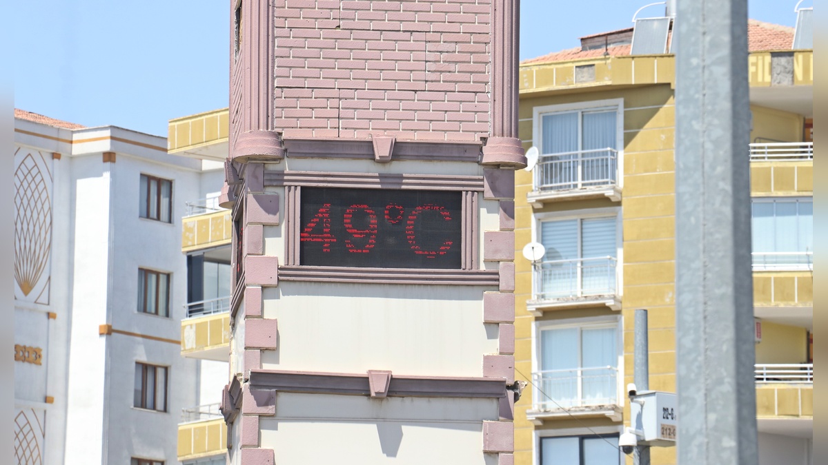 245881-2.jpg