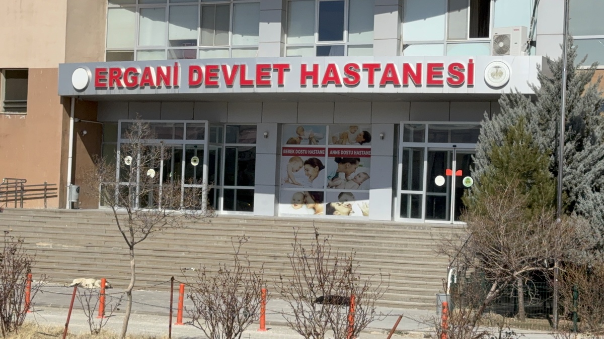 246333-2.jpg