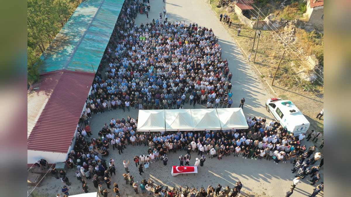 246586-2.jpg