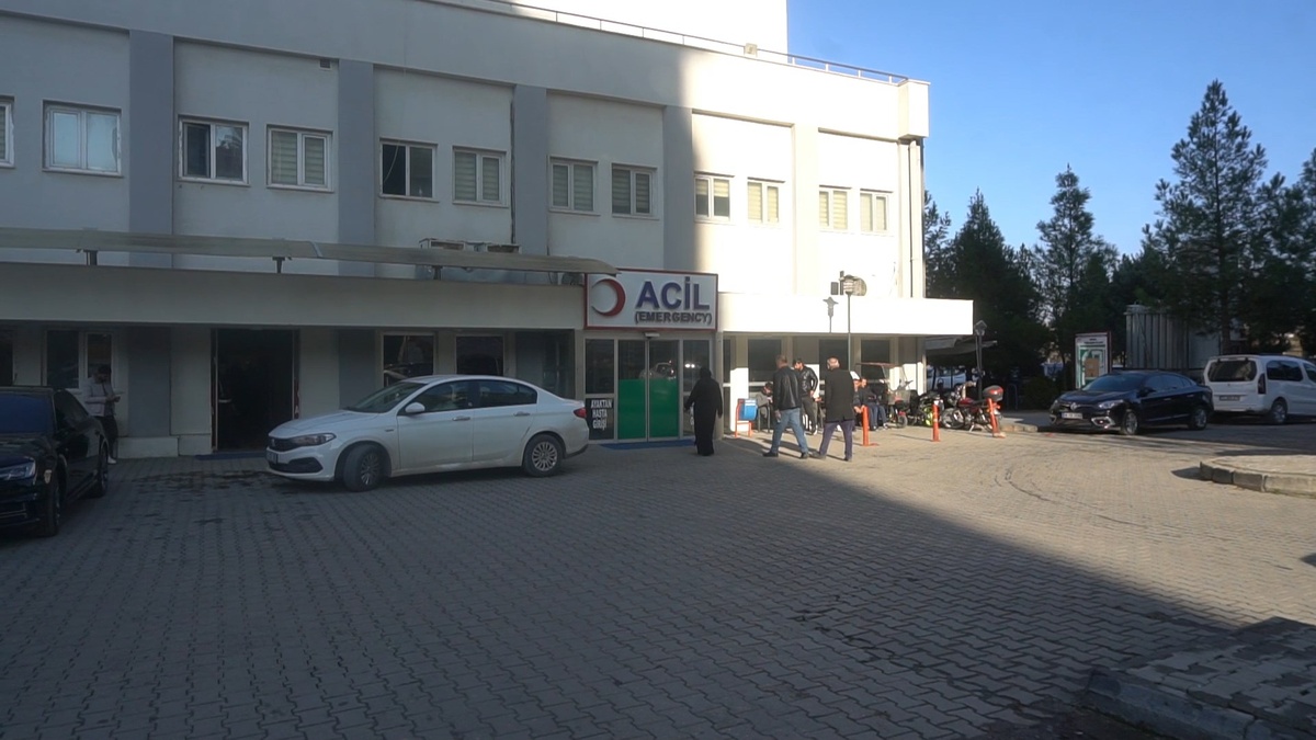 246929-2.jpg