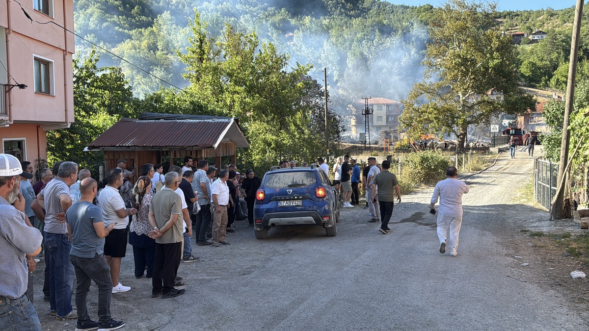 247156-2.jpg