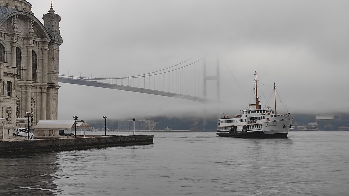 248126-2.jpg