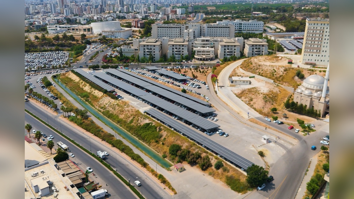 249671-2.jpg