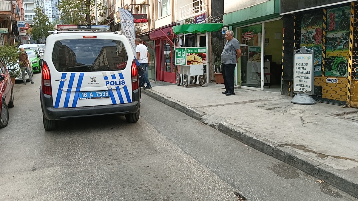 249781-2.jpg