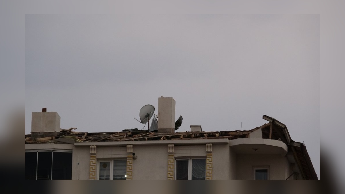 44977-2.jpg