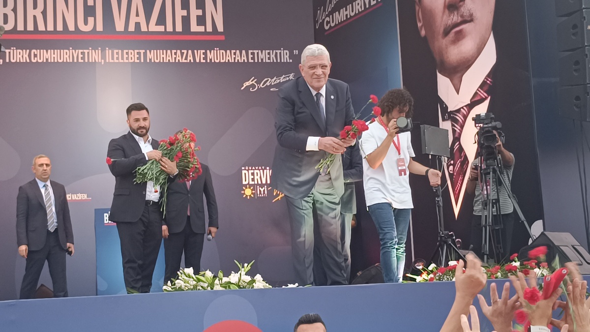 251308-2.jpg