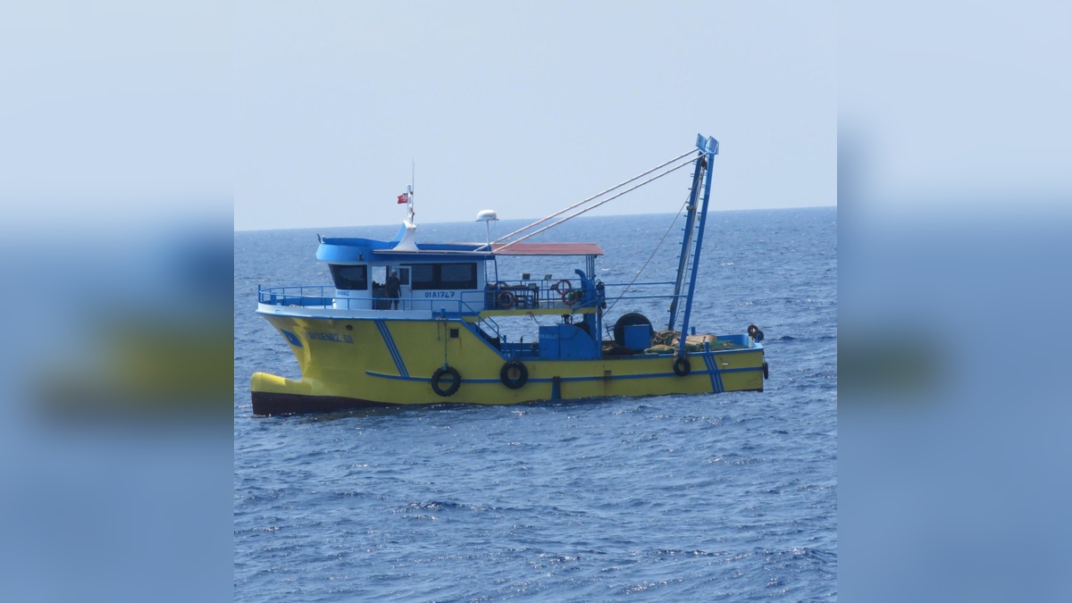 46609-2.jpg