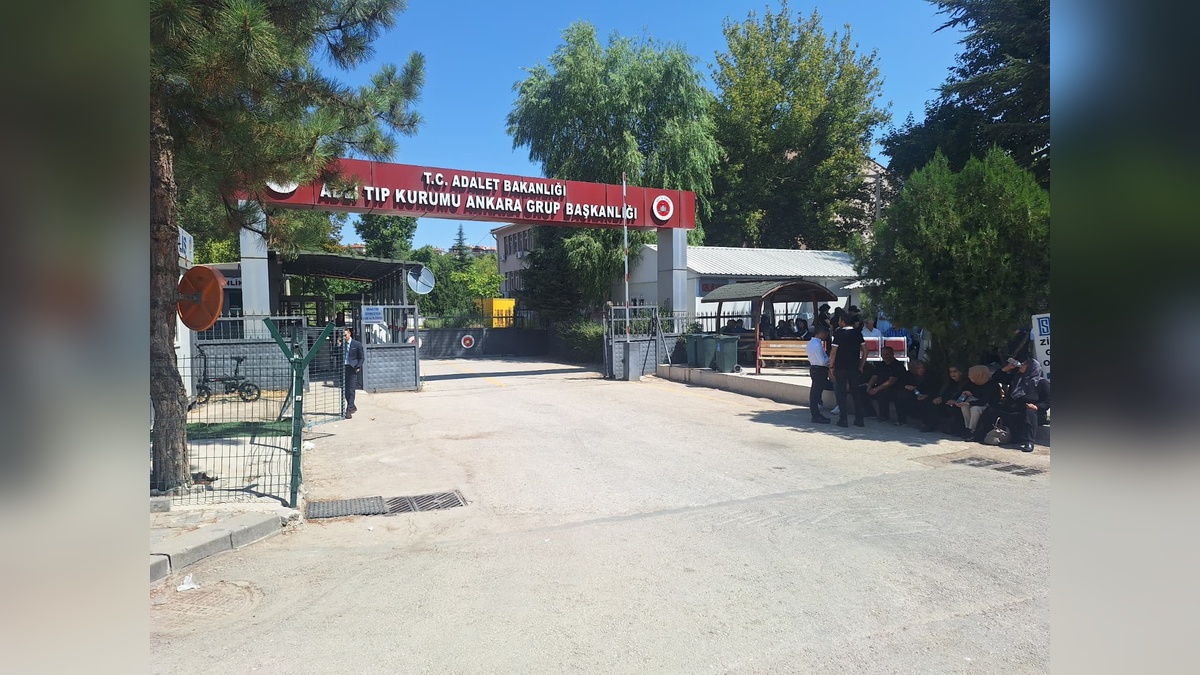 252536-2.jpg