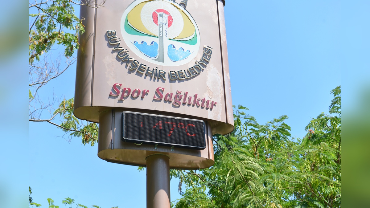 254124-2.jpg