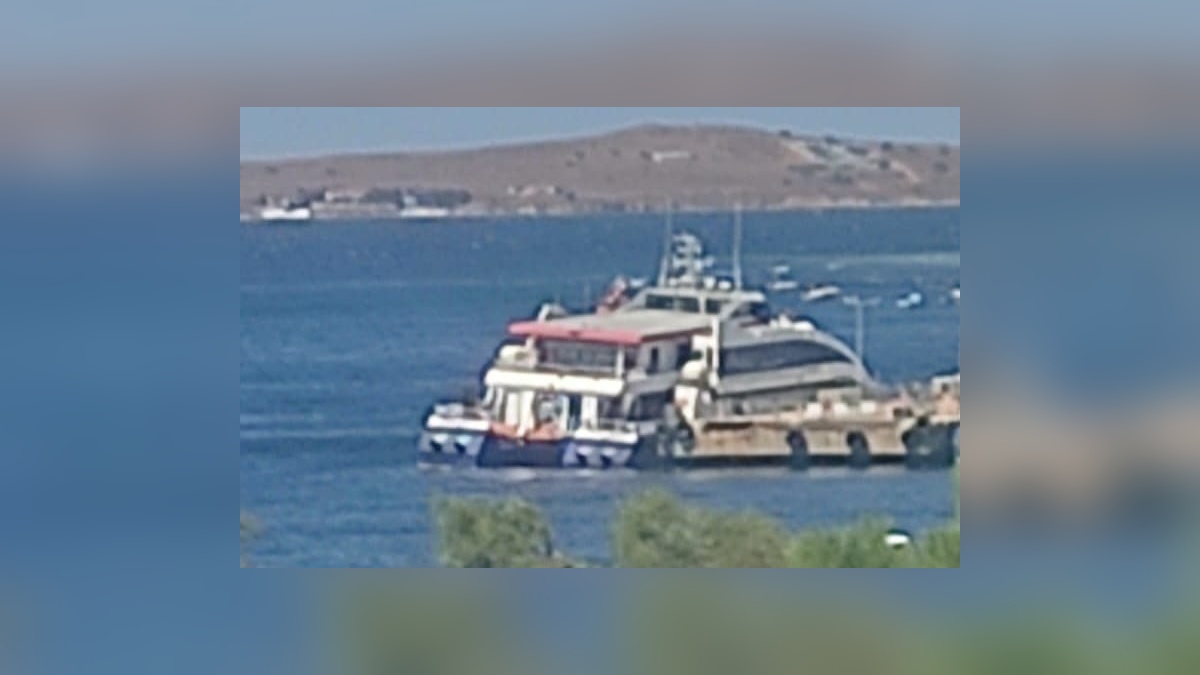 254528-2.jpg