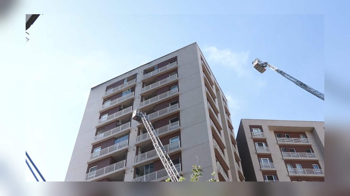 49364-2.jpg