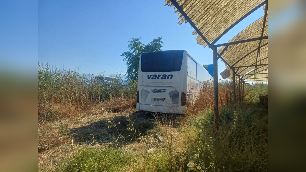 49597-2.jpg