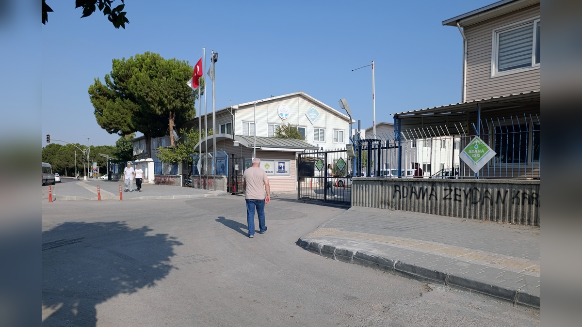 254541-2.jpg
