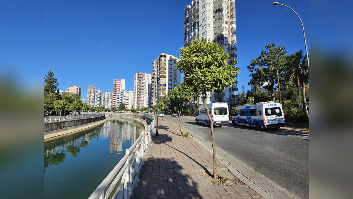 255908-2.jpg